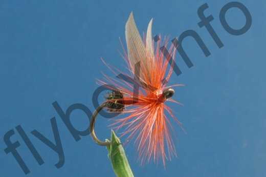 Red Ant